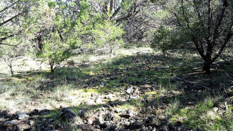 Martin Martinez - Frio Canyon Real Estate