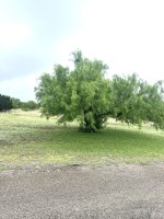 Frio Canyon Real Estate - Martin Martinez