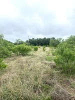 Frio Canyon Real Estate - Martin Martinez