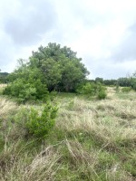 Frio Canyon Real Estate - Martin Martinez