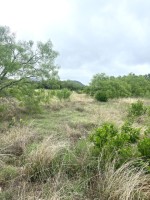 Frio Canyon Real Estate - Martin Martinez