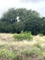 Frio Canyon Real Estate - Martin Martinez