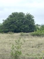 Frio Canyon Real Estate - Martin Martinez