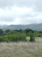 Frio Canyon Real Estate - Martin Martinez