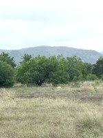 Frio Canyon Real Estate - Martin Martinez