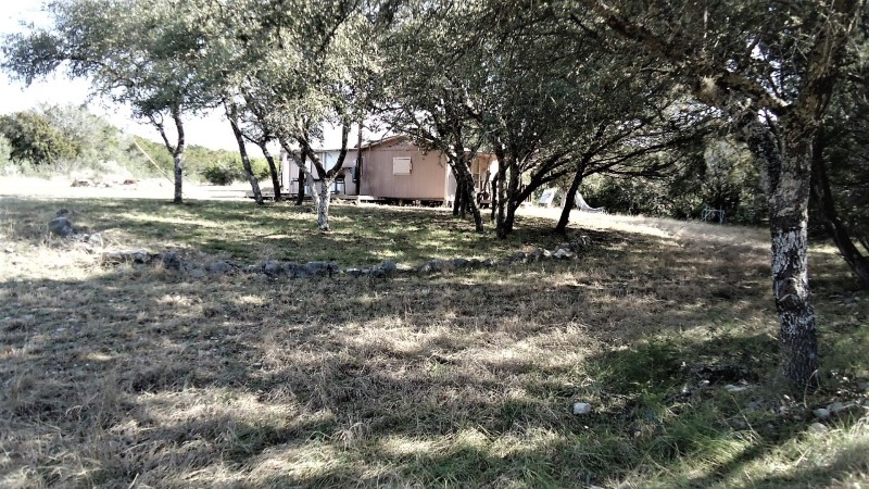 Martin Martinez - Frio Canyon Real Estate