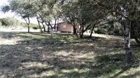 Texas Hill Country and Frio Canyon Properties with Live Water