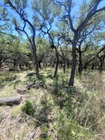 Frio Canyon Real Estate - Martin Martinez
