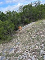 Frio Canyon Real Estate - Martin Martinez