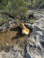 Frio Canyon Real Estate - Martin Martinez