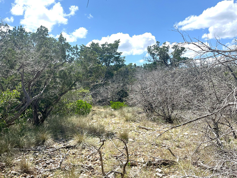 Martin Martinez - Frio Canyon Real Estate